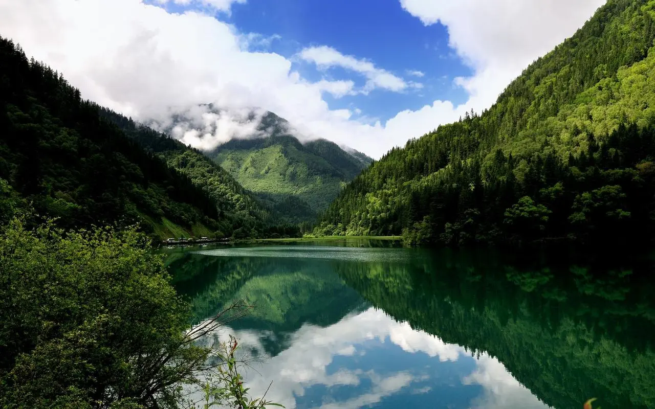 高效可靠性高端
